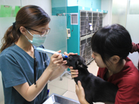 台南啄木鳥動物醫院：愛犬的健康要「睛睛」計較《台南,動物醫院,野生動物醫院》